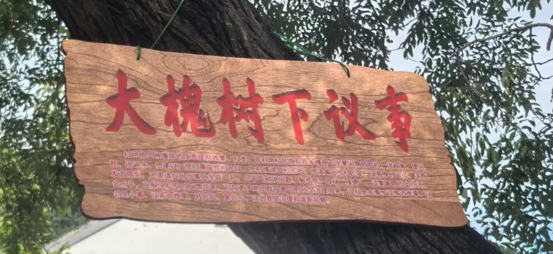 深入乡村觅乡音 大槐树下采新风