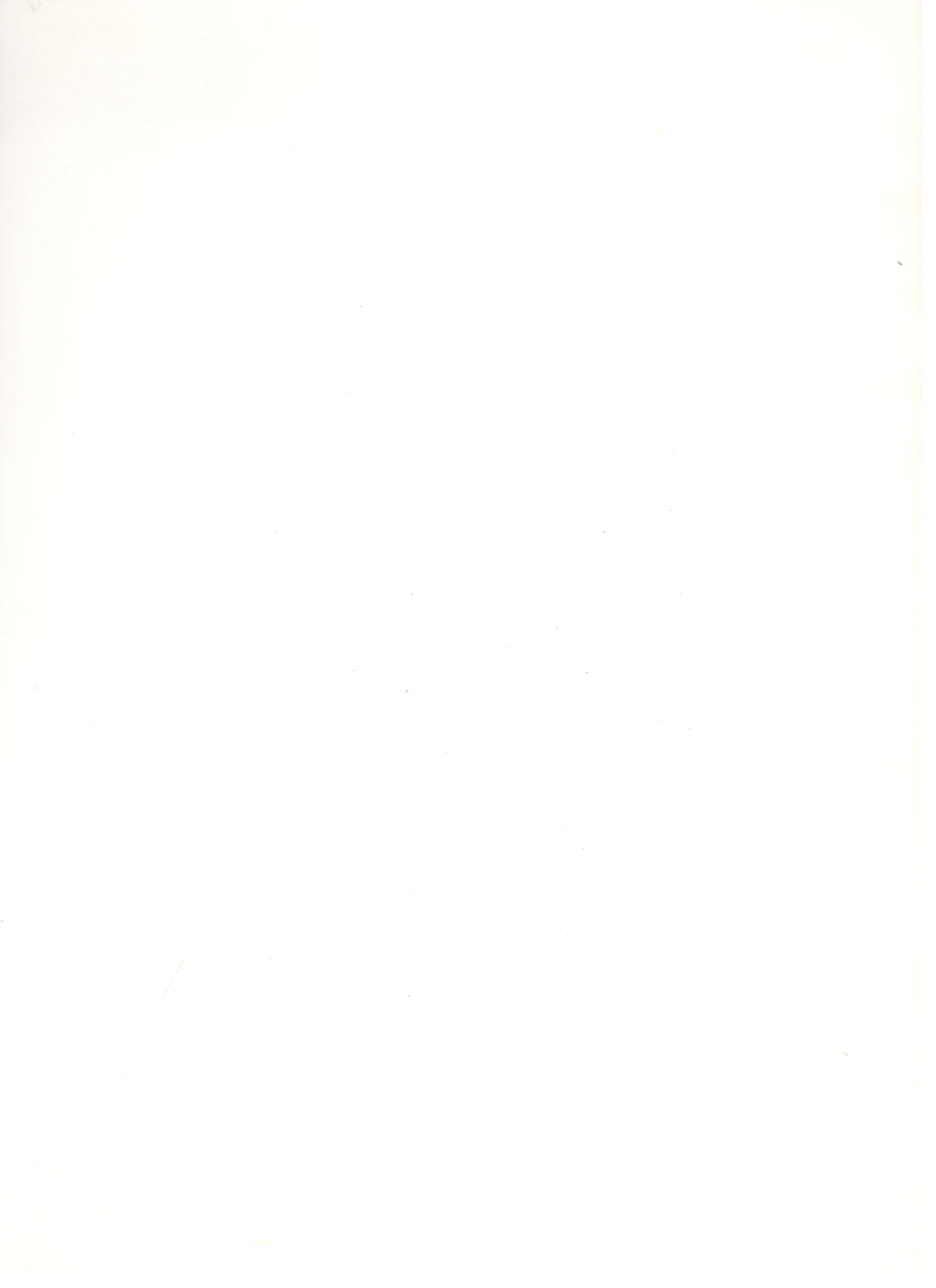 王文强执法证遗失公告2026.8.12.jpg