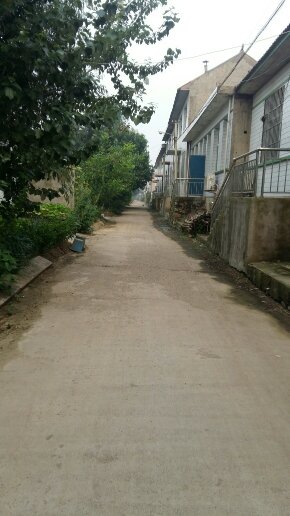 梨树县有多少人口(2)